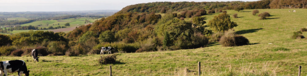 Commune de Colembert Colembert.fr