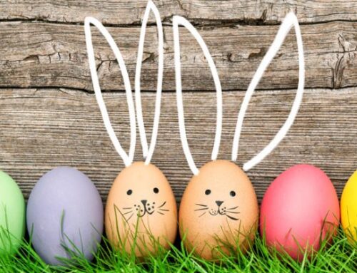 ANIMATION A LA BIBLIOTHEQUE